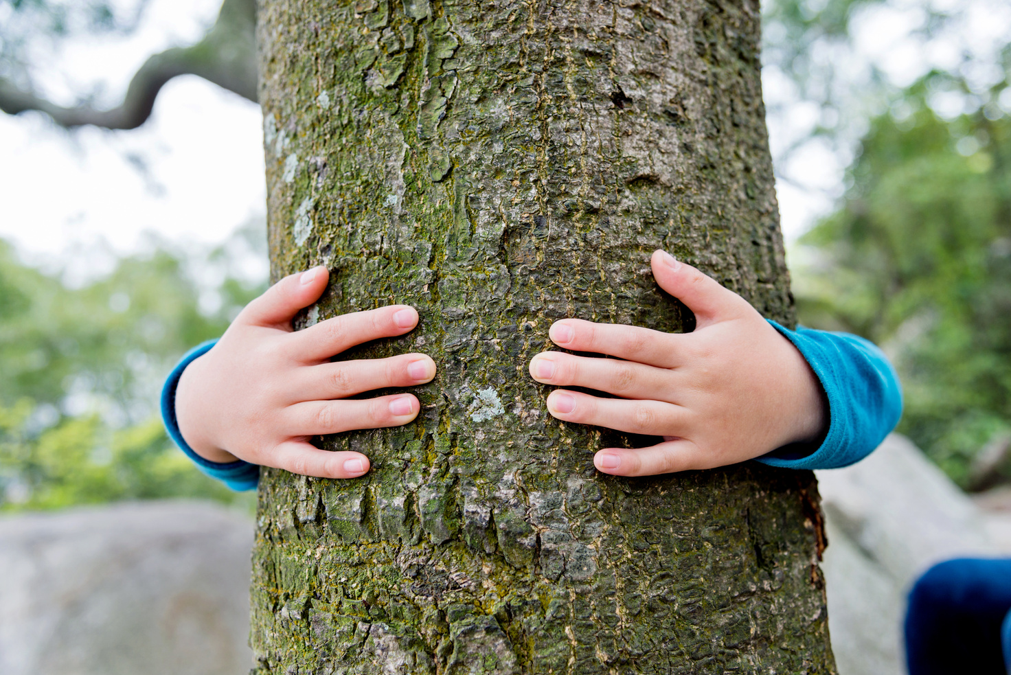 hugging a tree