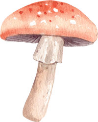 Watercolor Autumn Mushroom